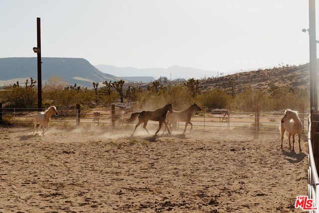 55626 Pipes Canyon Road, Yucca Valley, CA 92284