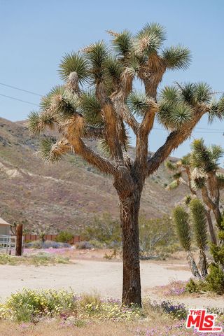 55626 Pipes Canyon Road, Yucca Valley, CA 92284