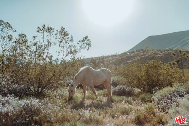 55626 Pipes Canyon Road, Yucca Valley, CA 92284
