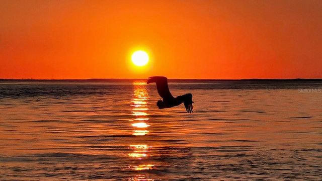 900 E MARION AVENUE 1201, Punta Gorda, FL 33950