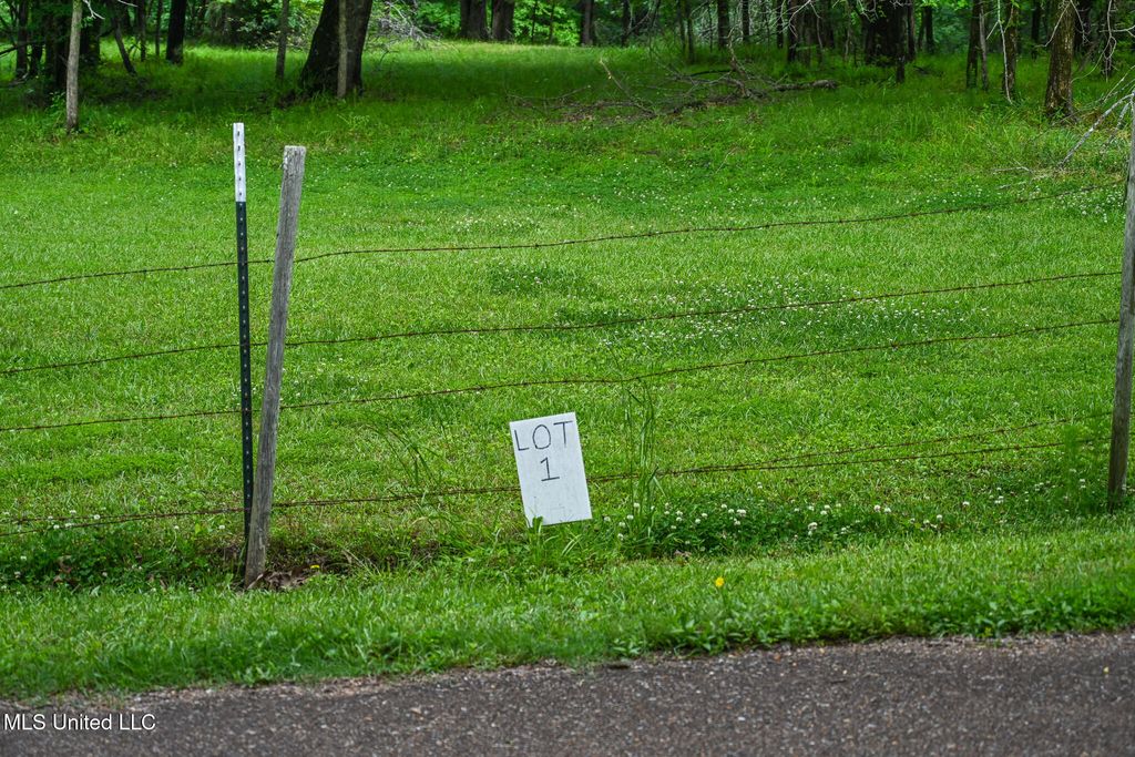 Lot 1 Woodlawn Road, Byhalia, MS 38611 — photo 2