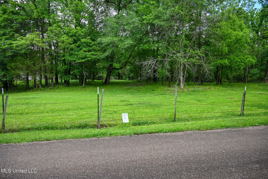 Lot 1 Woodlawn Road, Byhalia, MS 38611 — photo 3