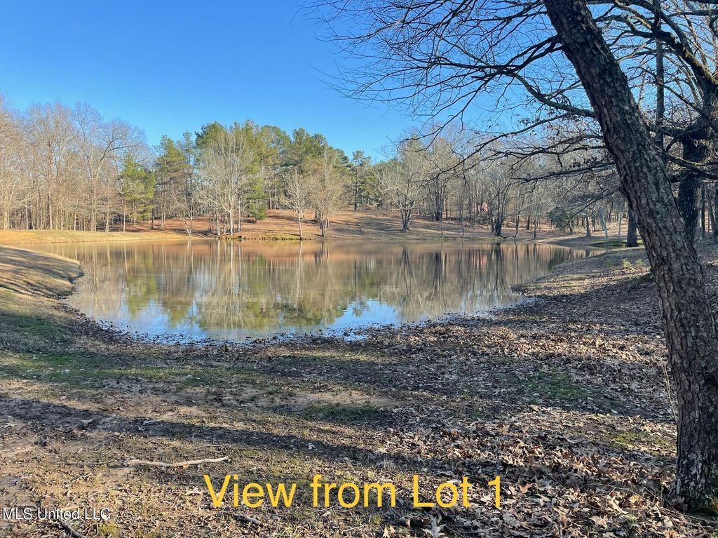 Lot 1 Woodlawn Road, Byhalia, MS 38611 — photo 4