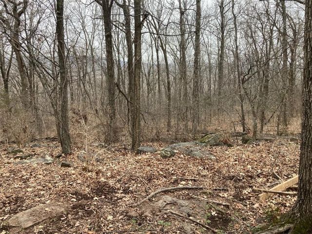 000 W Circle Drive, Greenland, AR 72701