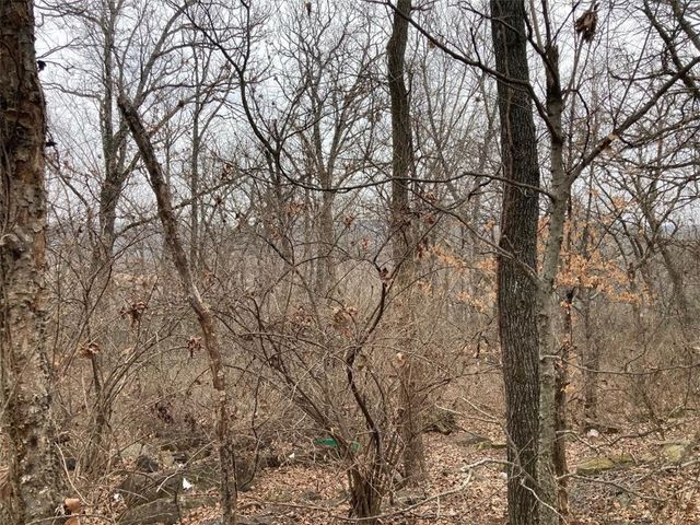 000 W Circle Drive, Greenland, AR 72701