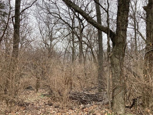 000 W Circle Drive, Greenland, AR 72701