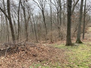 000 W Circle Drive, Greenland, AR 72701