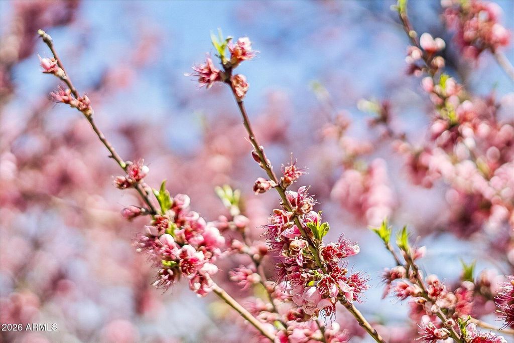 Image 40 of property listing at 8405 N REMINGTON Drive, Flagstaff, AZ 86004