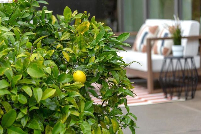 104 104 Capricorn Ave, Oakland, CA 94611