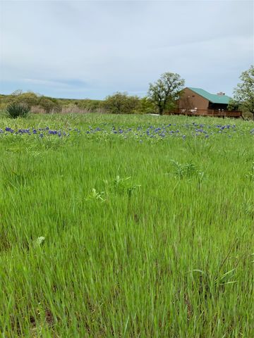 438 Jay Kelley Lane, Sunset, TX 76270