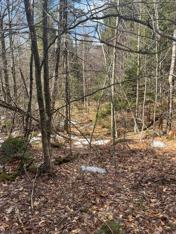 77-6 & 77-7, Washington, NH 03280