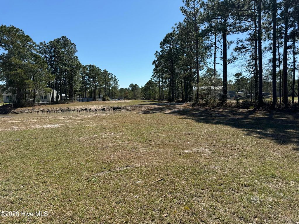 310 The Cove Lane NE, Leland, NC 28451