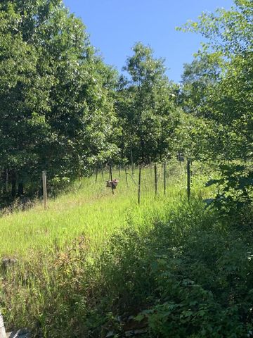 W12226 BOW STRING DRIVE, Hancock, WI 54943