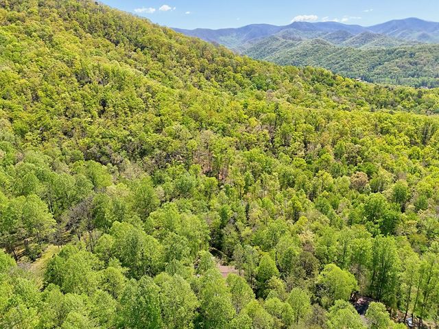8 Stoney Brook Trail, Hayesville, NC 28904