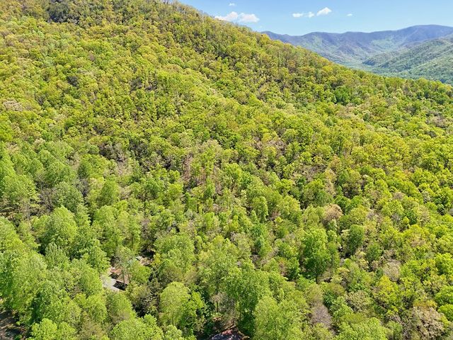 8 Stoney Brook Trail, Hayesville, NC 28904