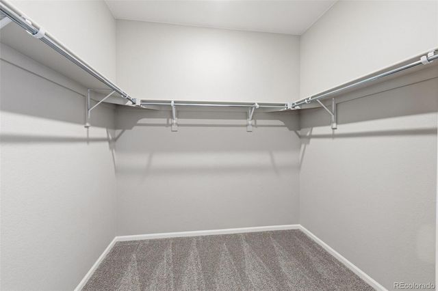 15343 Poplar Street, Thornton, CO 80602