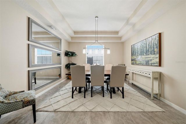 24115 SAN GIOVANNI DRIVE, Land O Lakes, FL 34639