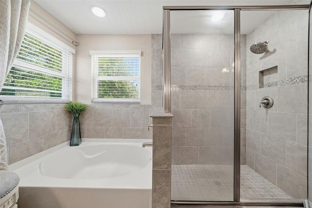 24115 SAN GIOVANNI DRIVE, Land O Lakes, FL 34639