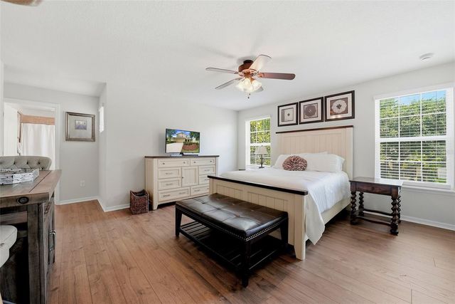 24115 SAN GIOVANNI DRIVE, Land O Lakes, FL 34639