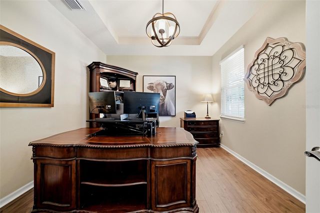 24115 SAN GIOVANNI DRIVE, Land O Lakes, FL 34639