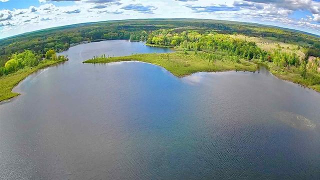 9388 S Lake Drive, Evart, MI 49631