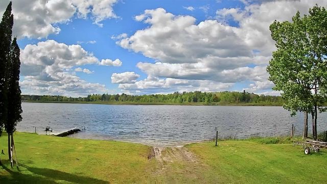 9388 S Lake Drive, Evart, MI 49631