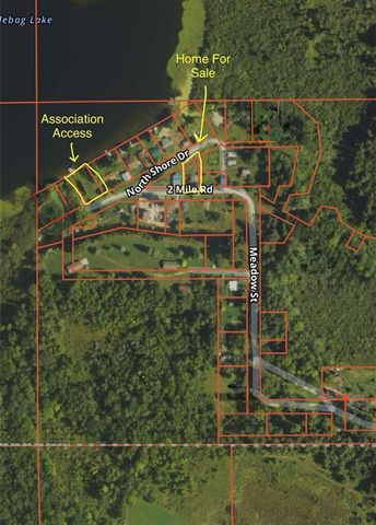 9388 S Lake Drive, Evart, MI 49631