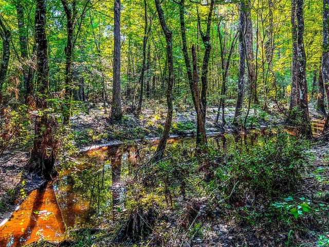 485 Private Road 5475, Warren, TX 77664