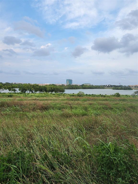 10555 Turtlewood Court 1206, Houston, TX 77072