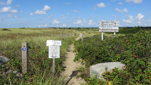 16 Bosun's Lane, Mashpee, MA 02649