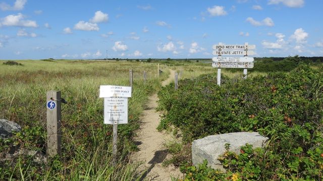 16 Bosun's Lane, Mashpee, MA 02649