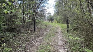 556 Lee Hargis Road, Gruetli Laager, TN 37339