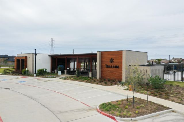 17518 Zinnia Dawn Drive, Richmond, TX 77407