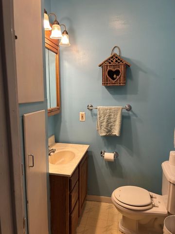 302 S Pine Street, Mount Pleasant, MI 48858