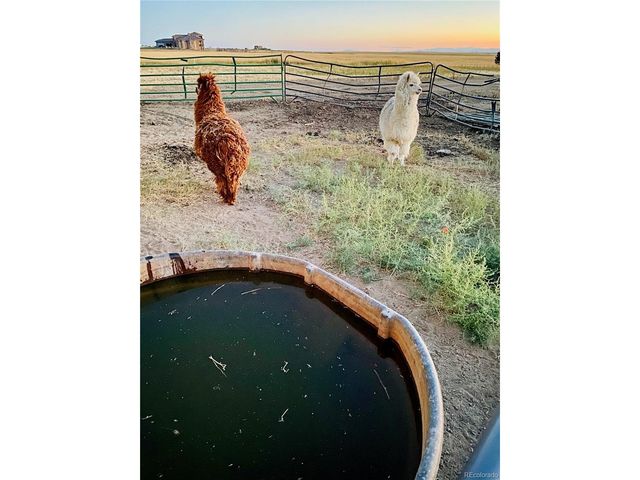 8505 Quail Run Rd, Watkins, CO 80137
