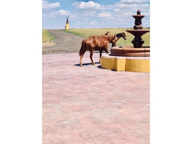 8505 Quail Run Rd, Watkins, CO 80137