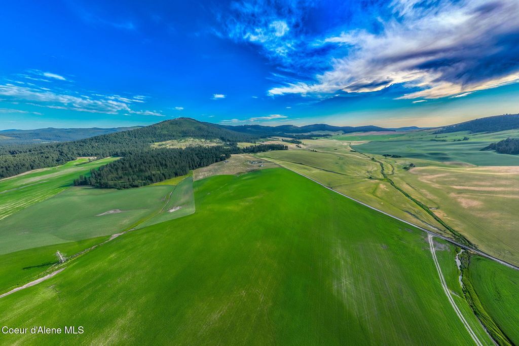 10 Acres 783 Old Mills Rd, Desmet, ID 83824 photo 4