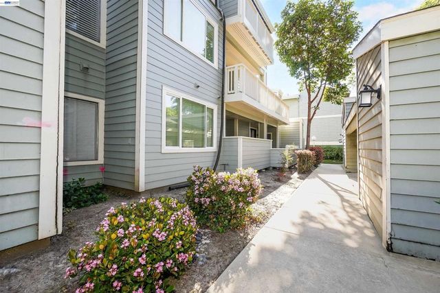 37168 Meadowbrook Cmn 304, Fremont, CA 94536