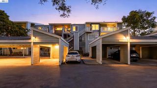 37168 Meadowbrook Cmn 304, Fremont, CA 94536