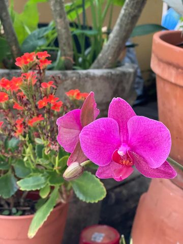 921 S M Street, Lake Worth Beach, FL 33460