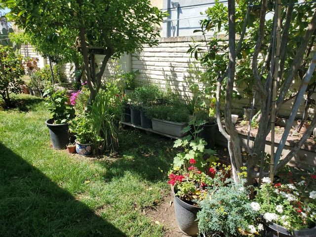 1655 Marsh Street, San Jose, CA 95122