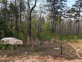 129 Red Hawk Lane, Ellijay, GA 30540