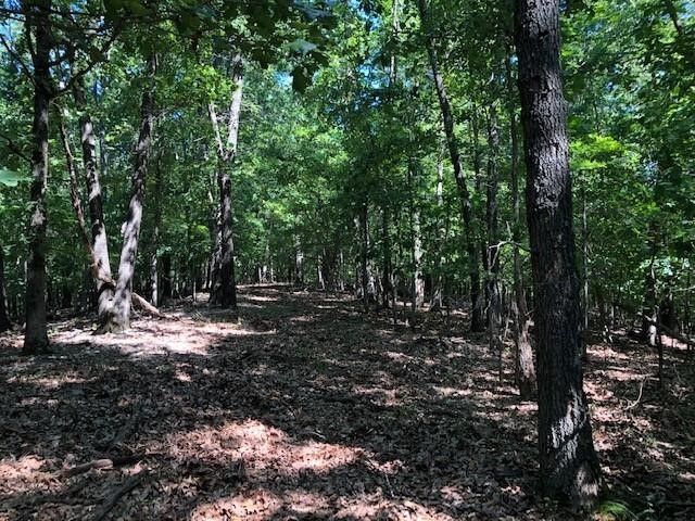 TBD CR 1520, Eureka Springs, AR 72632