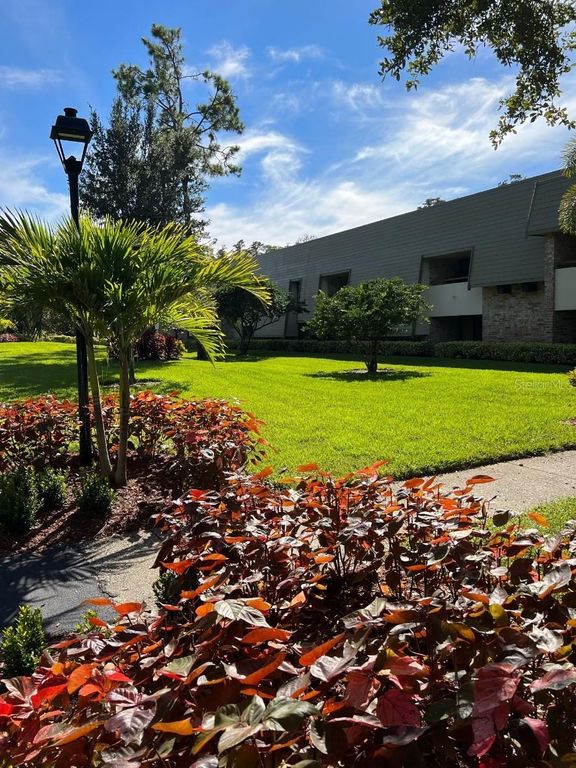 36750 US HIGHWAY 19 N 6-109, Palm Harbor, FL 34683
