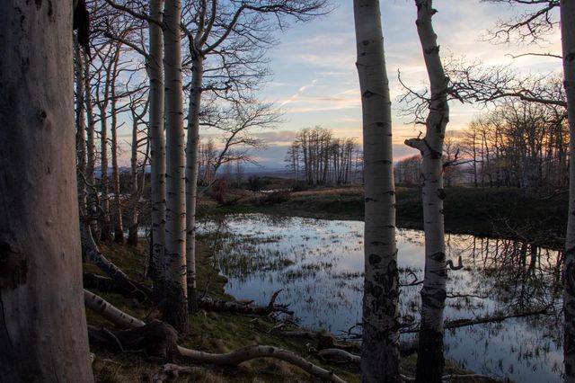 TBD Hull Ridge Road, Montrose, CO 81403