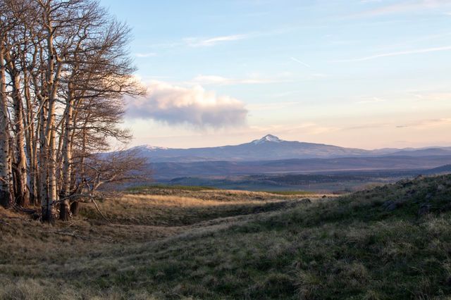 TBD Hull Ridge Road, Montrose, CO 81403