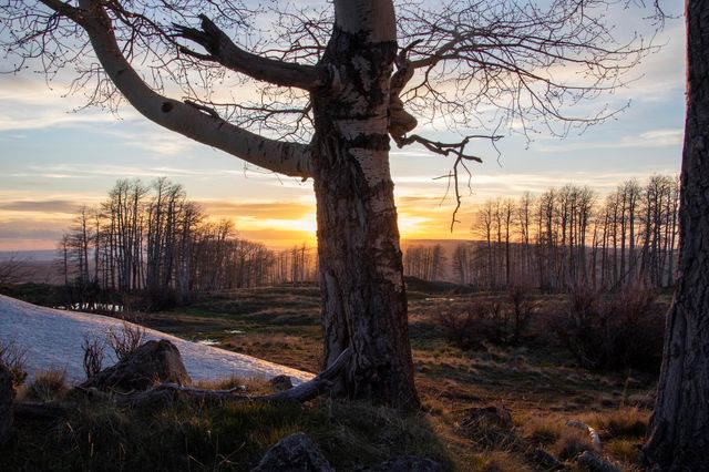 TBD Hull Ridge Road, Montrose, CO 81403