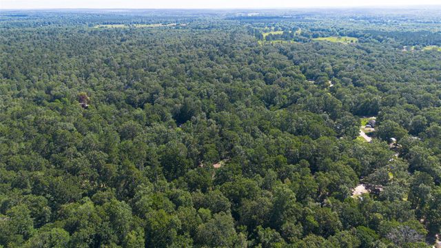 TDB Foyt Drive, Livingston, TX 77351