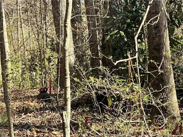 4175 Campbell Road, Snellville, GA 30039