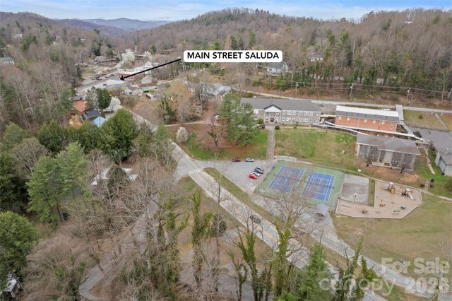 255 Hinson Terrace Drive, Saluda, NC 28773